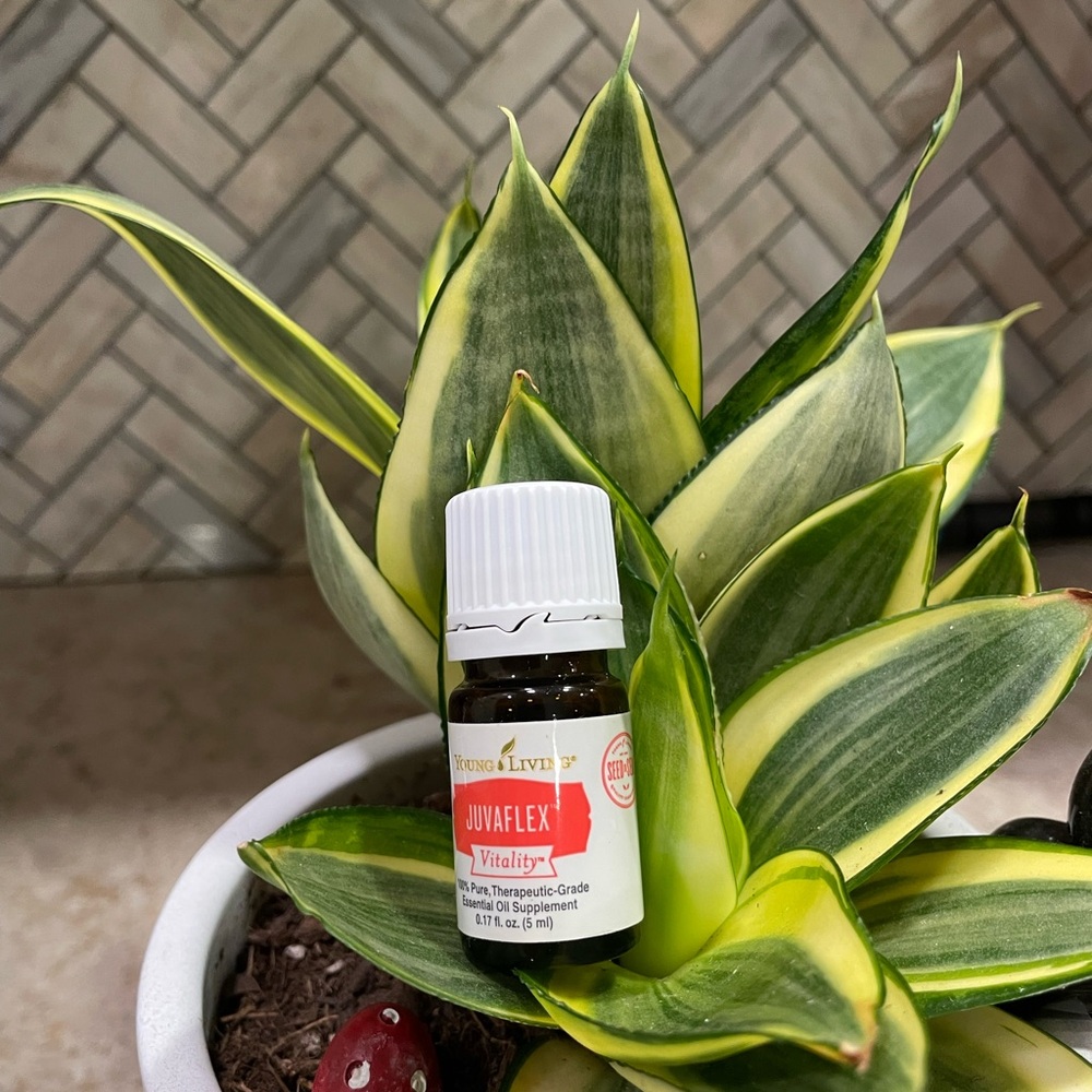 Young Living JuvaFlex Vitality Essential Oil